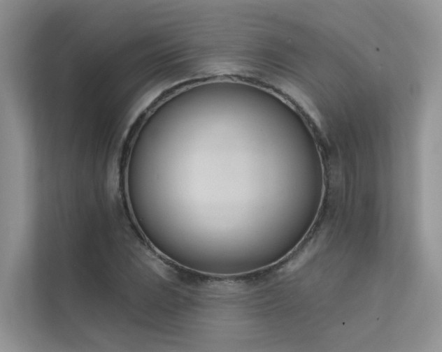 X0000111611023200907171220