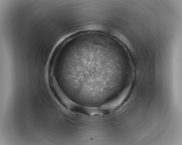 X0000111611024200907171220