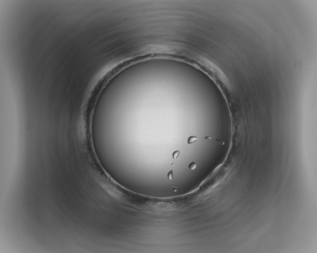 X0000111611027200907171220