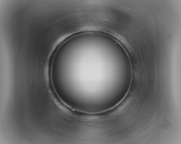 X0000111611030200907171220