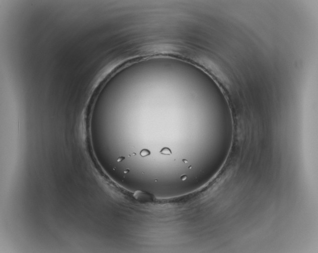 X0000111611031200907171220