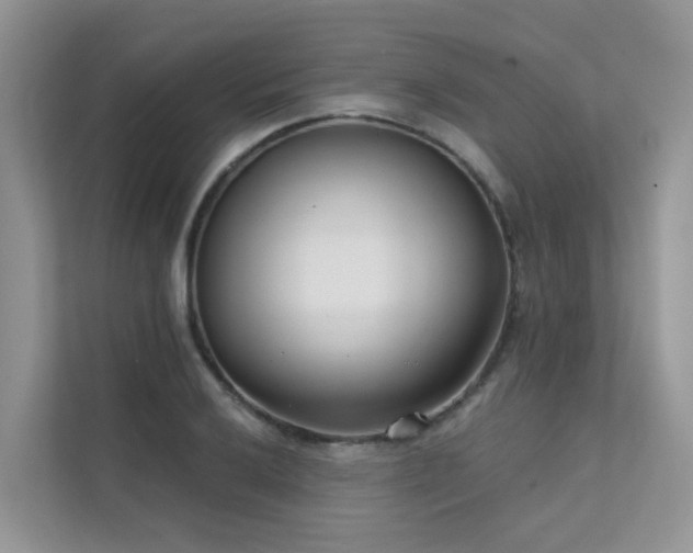 X0000111611032200907171220