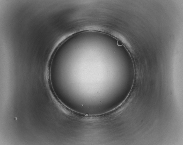 X0000111611040200907171220