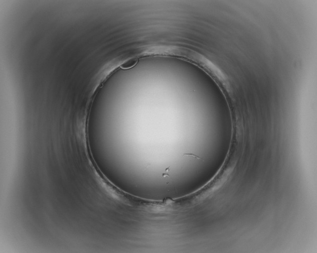 X0000111611041200907171220
