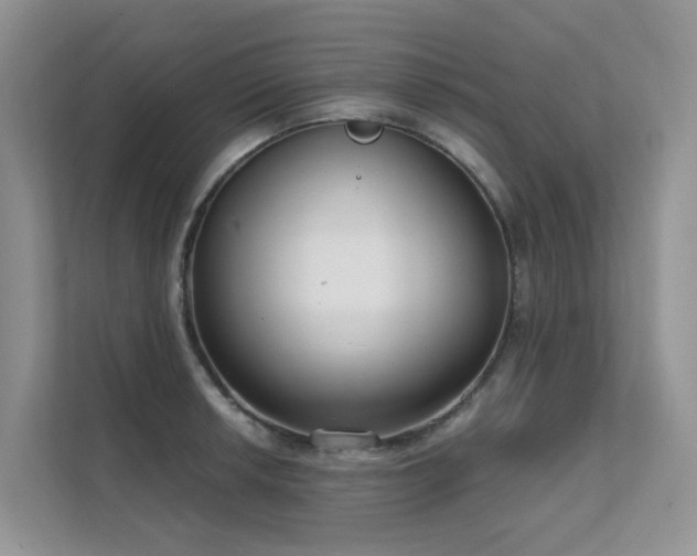 X0000111611042200907171220