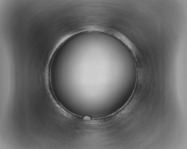 X0000111611048200907171220