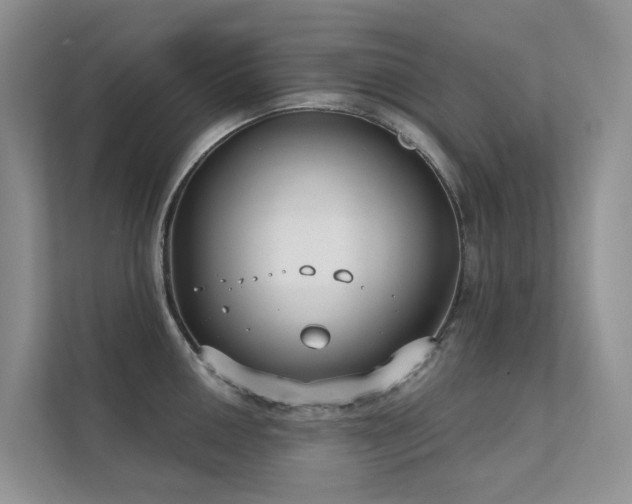 X0000111611050200907171220