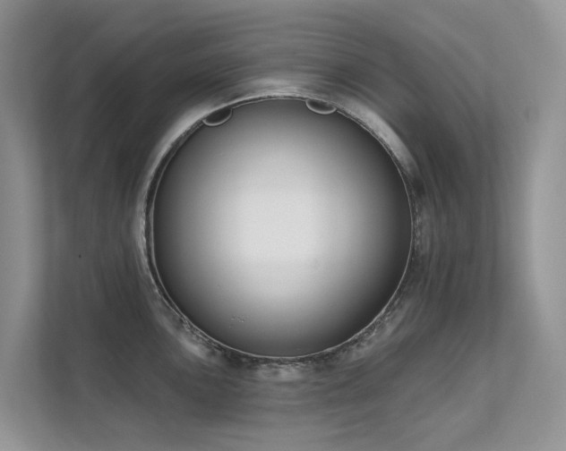 X0000111611051200907171220