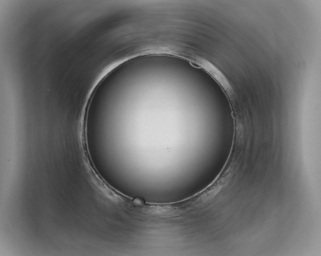 X0000111611052200907171220