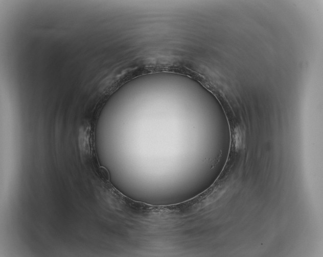 X0000111611059200907171219