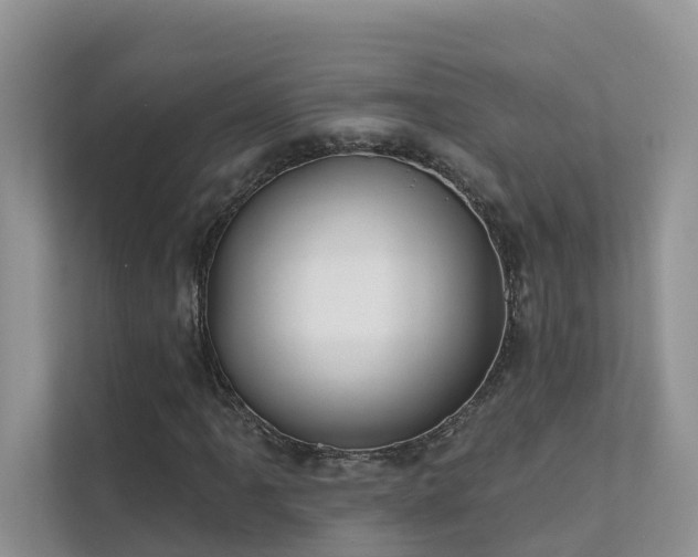 X0000111611061200907171219