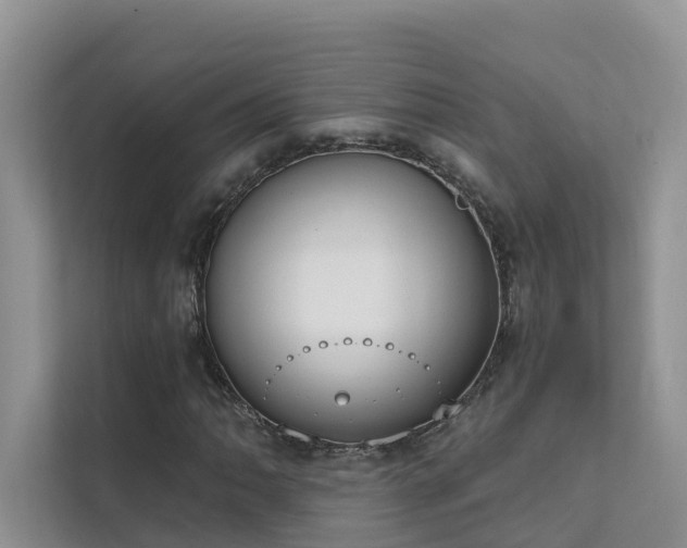 X0000111611062200907171219