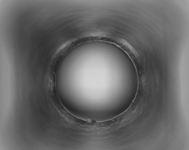 X0000111611064200907171219