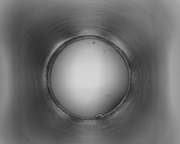 X0000111611068200907171219