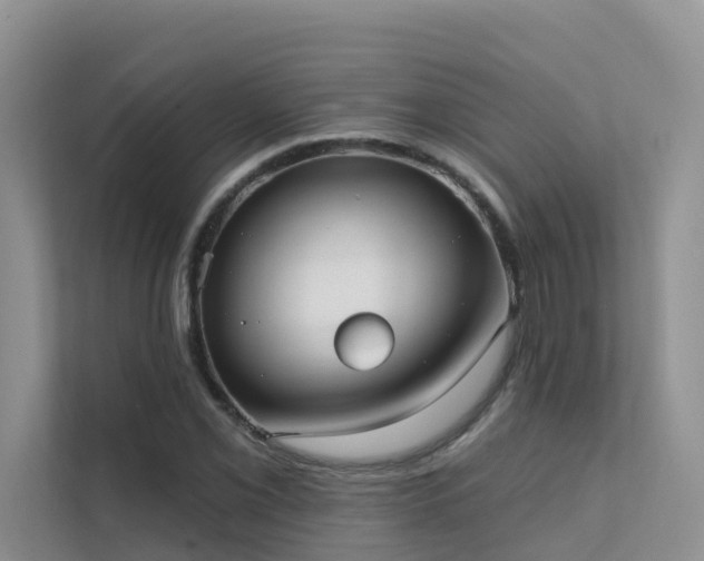 X0000111611069200907171219