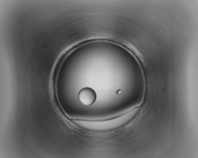 X0000111611072200907171219