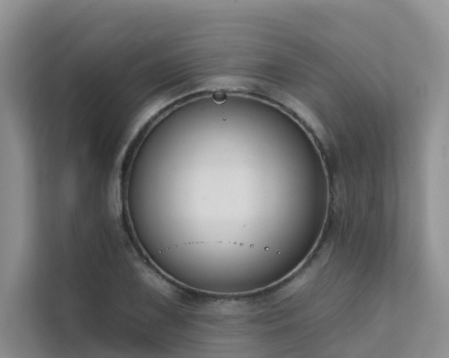 X0000111611075200907171219