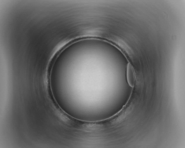 X0000111611077200907171219