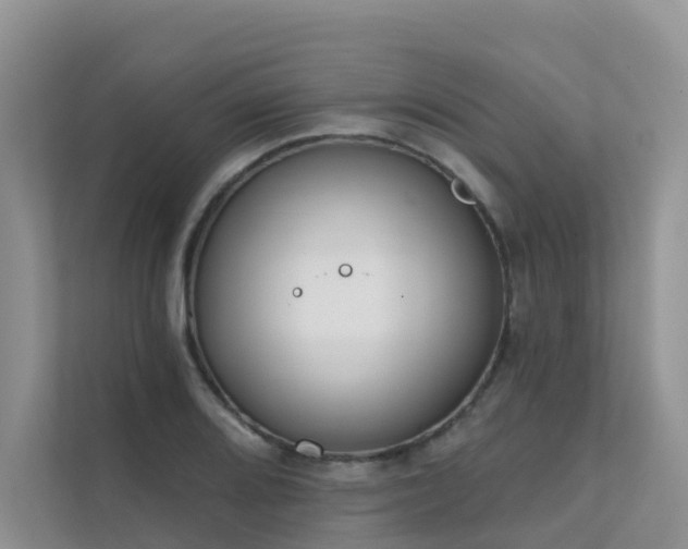 X0000111611080200907171219