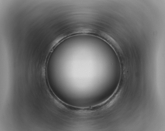 X0000111611081200907171219