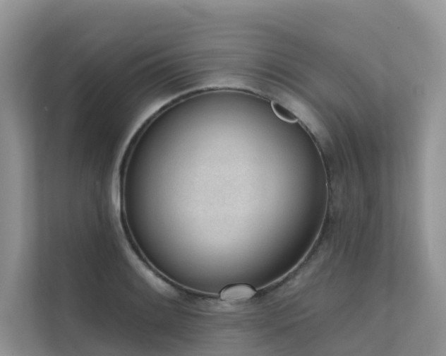 X0000111611084200907171219