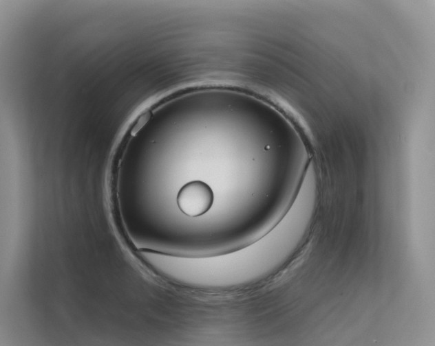 X0000111611085200907171219