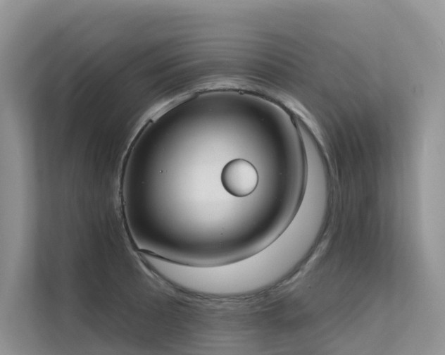 X0000111611089200907171219
