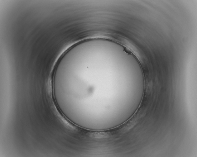 X0000111611092200907171219