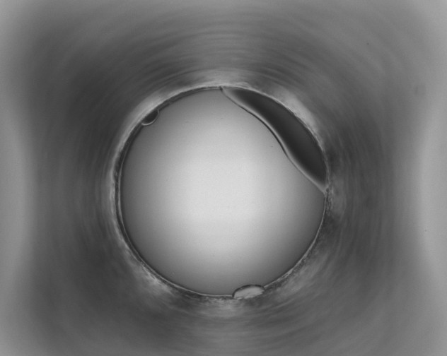 X0000111611096200907171219