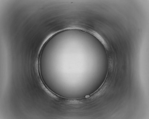 X0000111611100200907171219