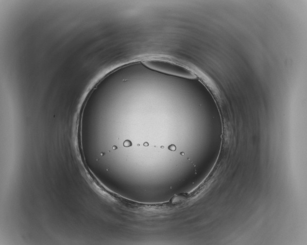 X0000111611102200907171219