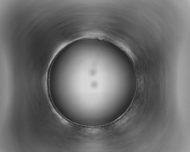 X0000111611103200907171219