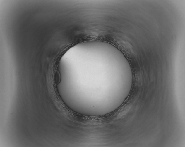 X0000111611105200907171218