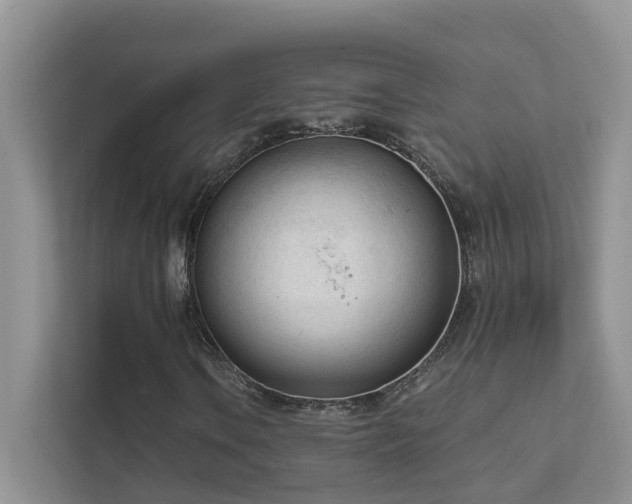 X0000111611106200907171218