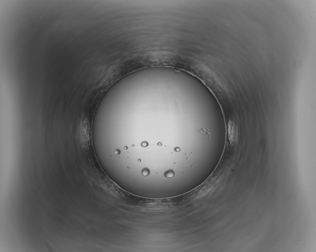 X0000111611107200907171218