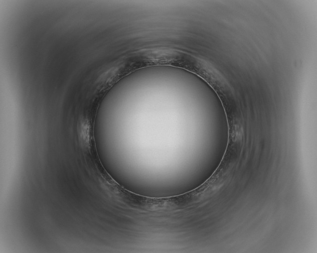 X0000111611108200907171218
