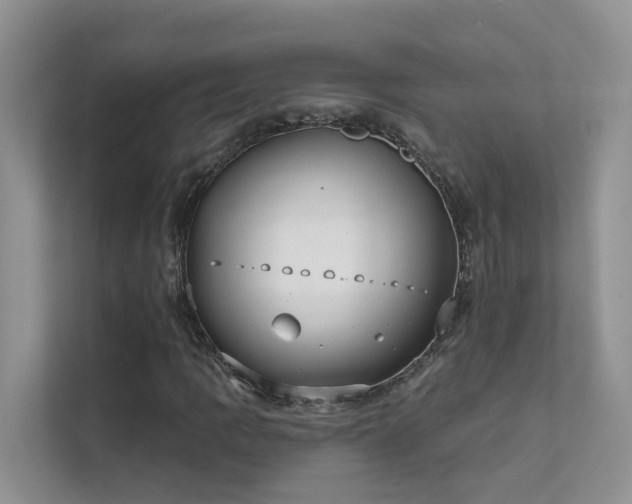 X0000111611109200907171218