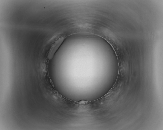 X0000111611110200907171218