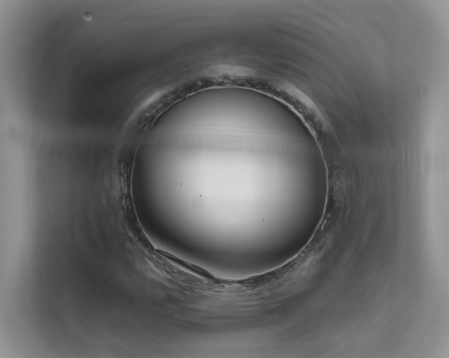 X0000111611112200907171218