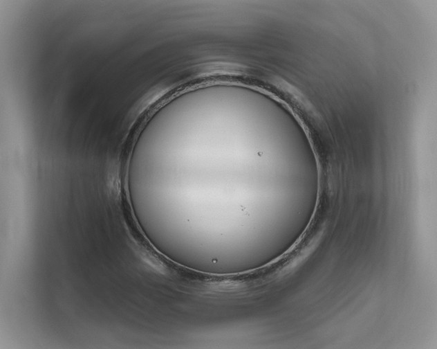 X0000111611113200907171218