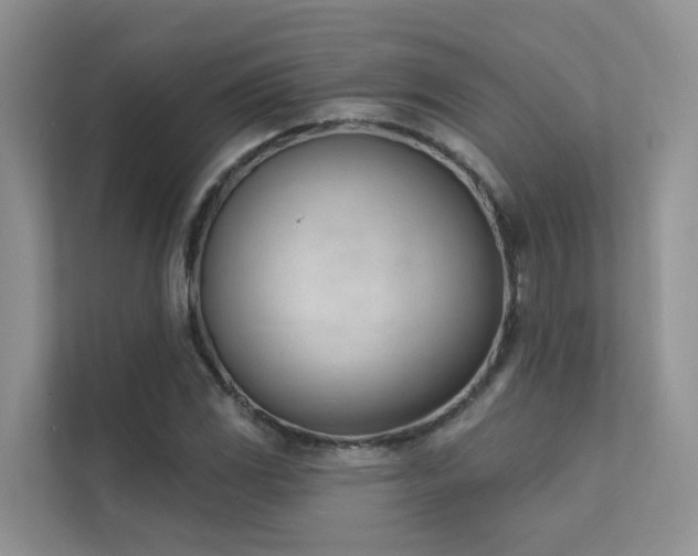X0000111611117200907171218