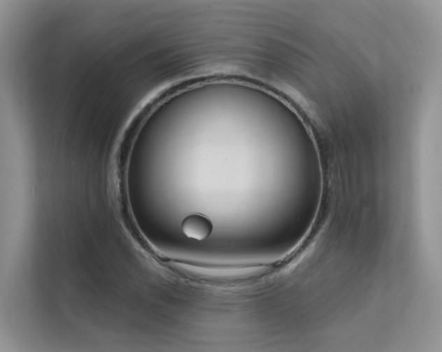 X0000111611118200907171218