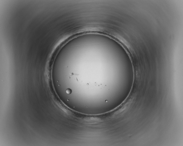 X0000111611119200907171218