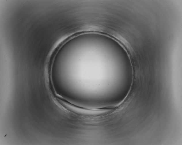 X0000111611120200907171218