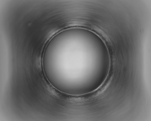 X0000111611121200907171218