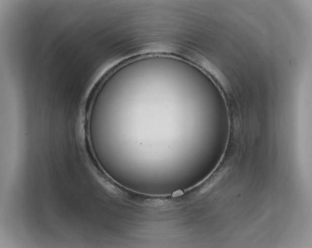 X0000111611124200907171218