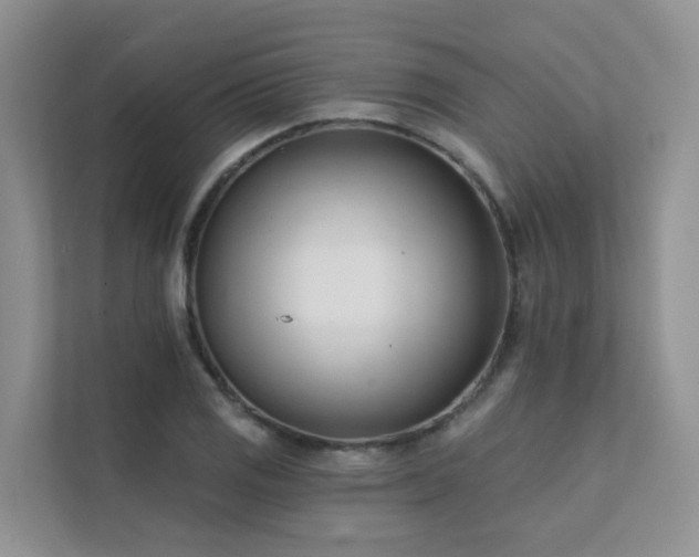 X0000111611125200907171218