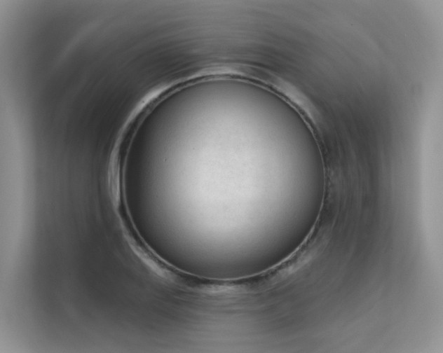 X0000111611127200907171218