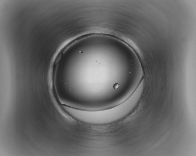 X0000111611128200907171218