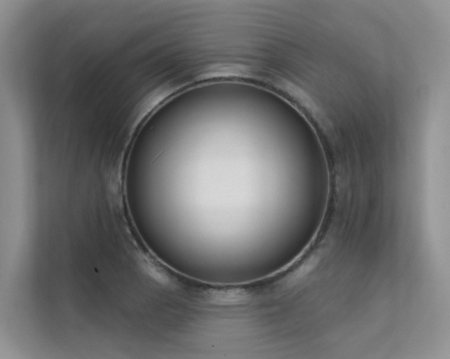 X0000111611129200907171218